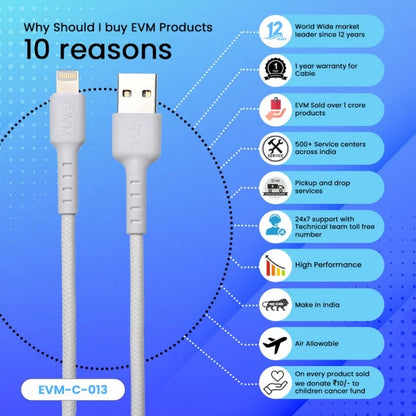 CABLE LIGHTNING DATA CABLE C-013